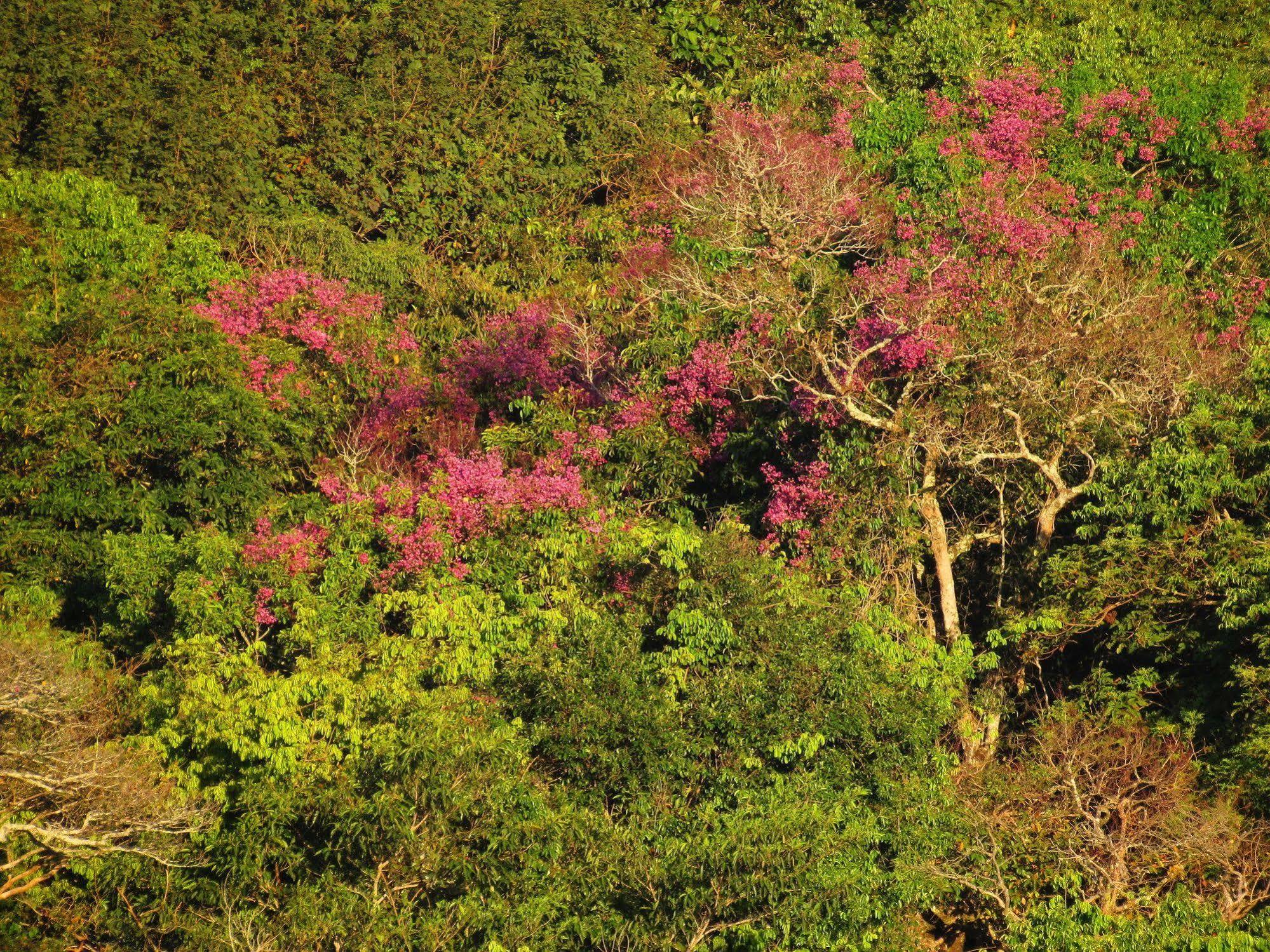 Cantos Da Mata Chapada dos Guimarães Exterior foto