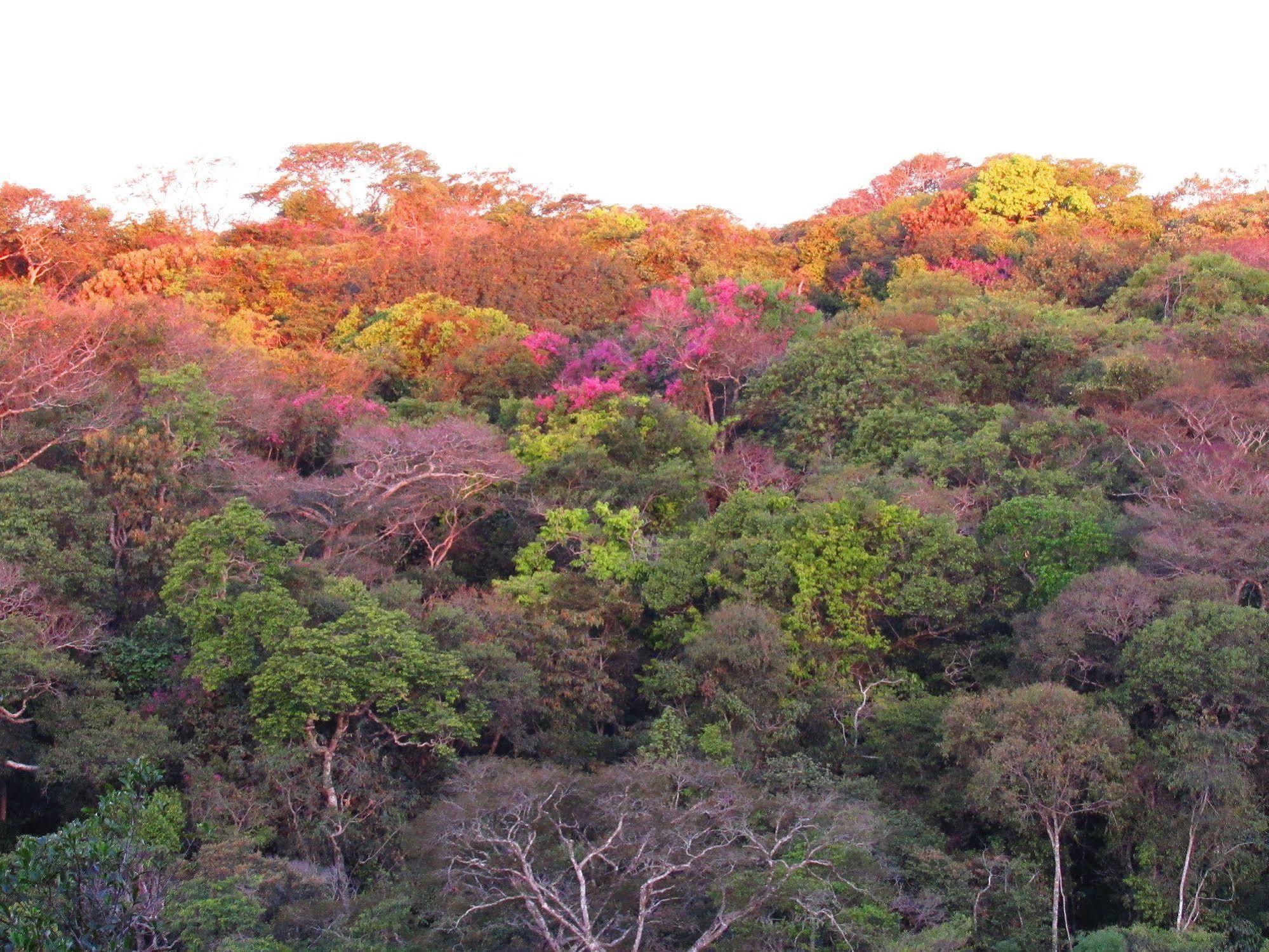 Cantos Da Mata Chapada dos Guimarães Exterior foto